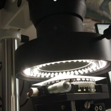 Microscopia ottica